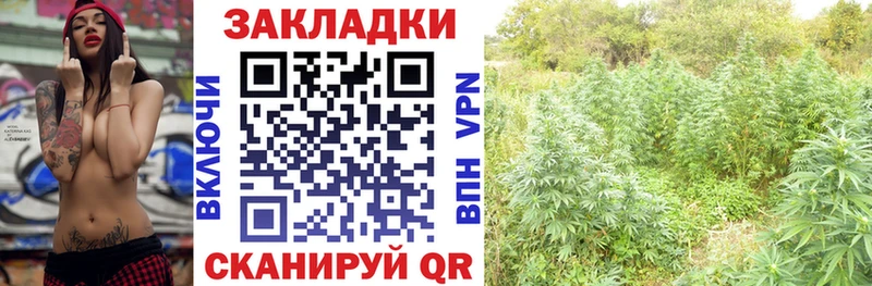 Каннабис Тайшет