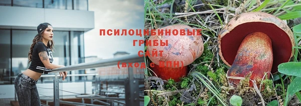 метамфетамин Алексеевка