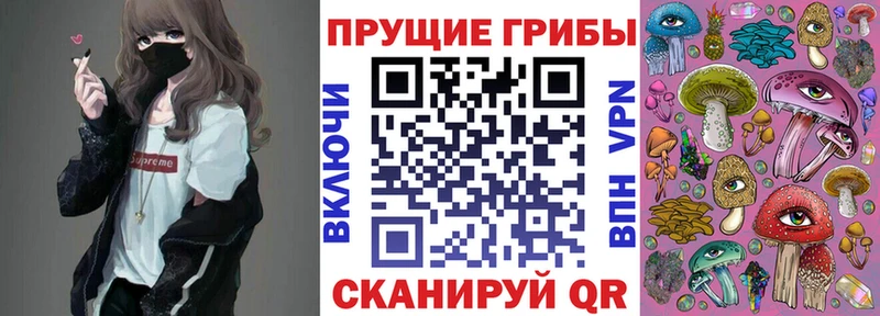 Галлюциногенные грибы Psilocybe  ОМГ ОМГ онион  Тайшет 