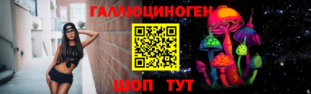 Тайшет  Псилоцибиновые грибы мухоморы  Вход с VPN 